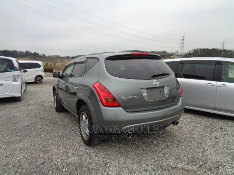 Nissan Murano 2007 Gray