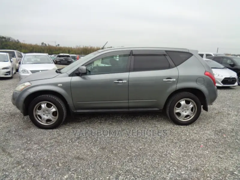 Nissan Murano 2007 Gray
