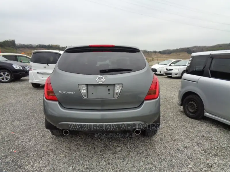 Nissan Murano 2007 Gray