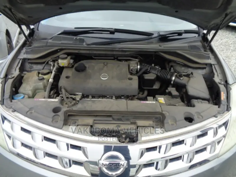 Nissan Murano 2007 Gray