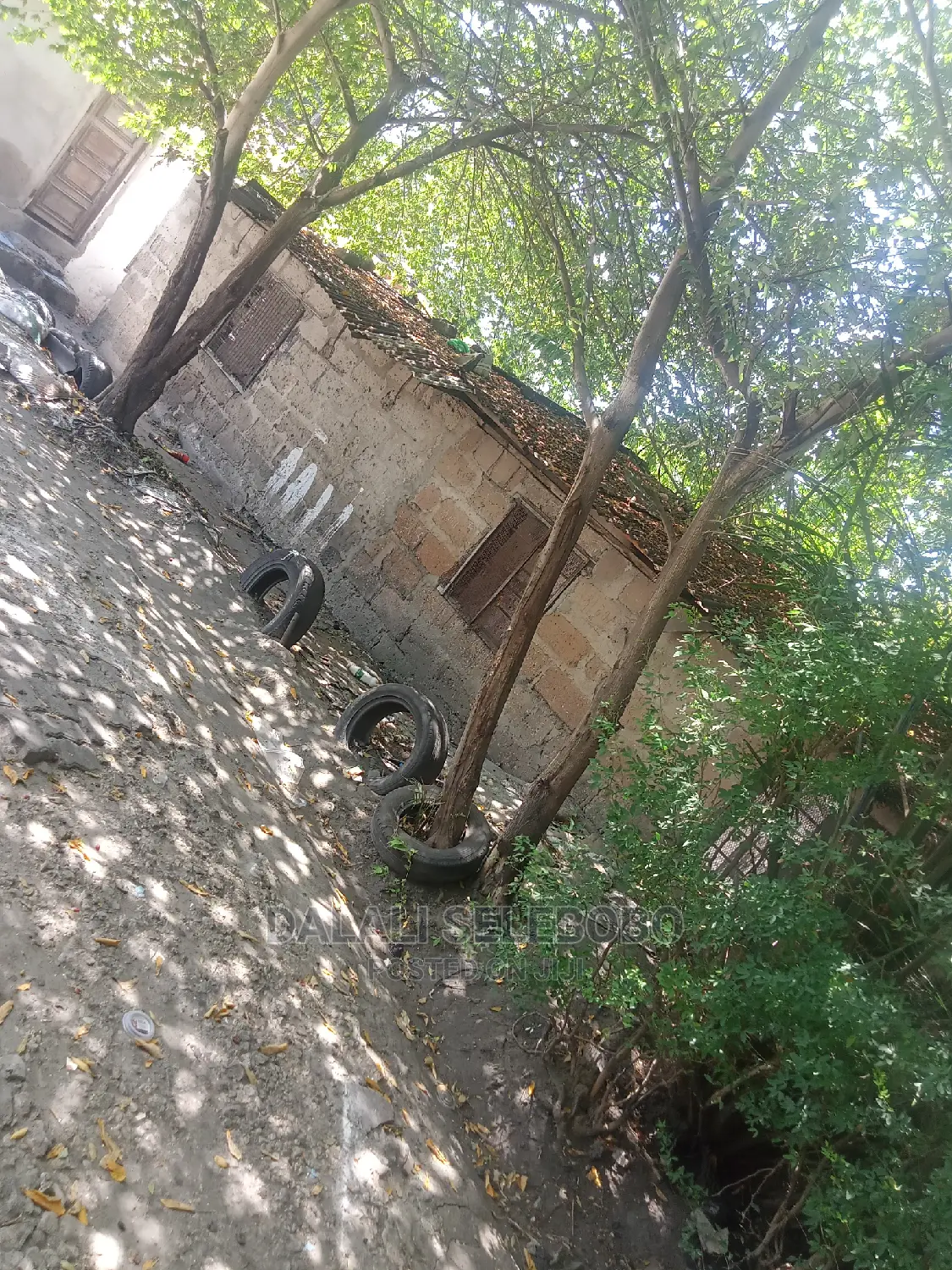 Survey Milioni 70