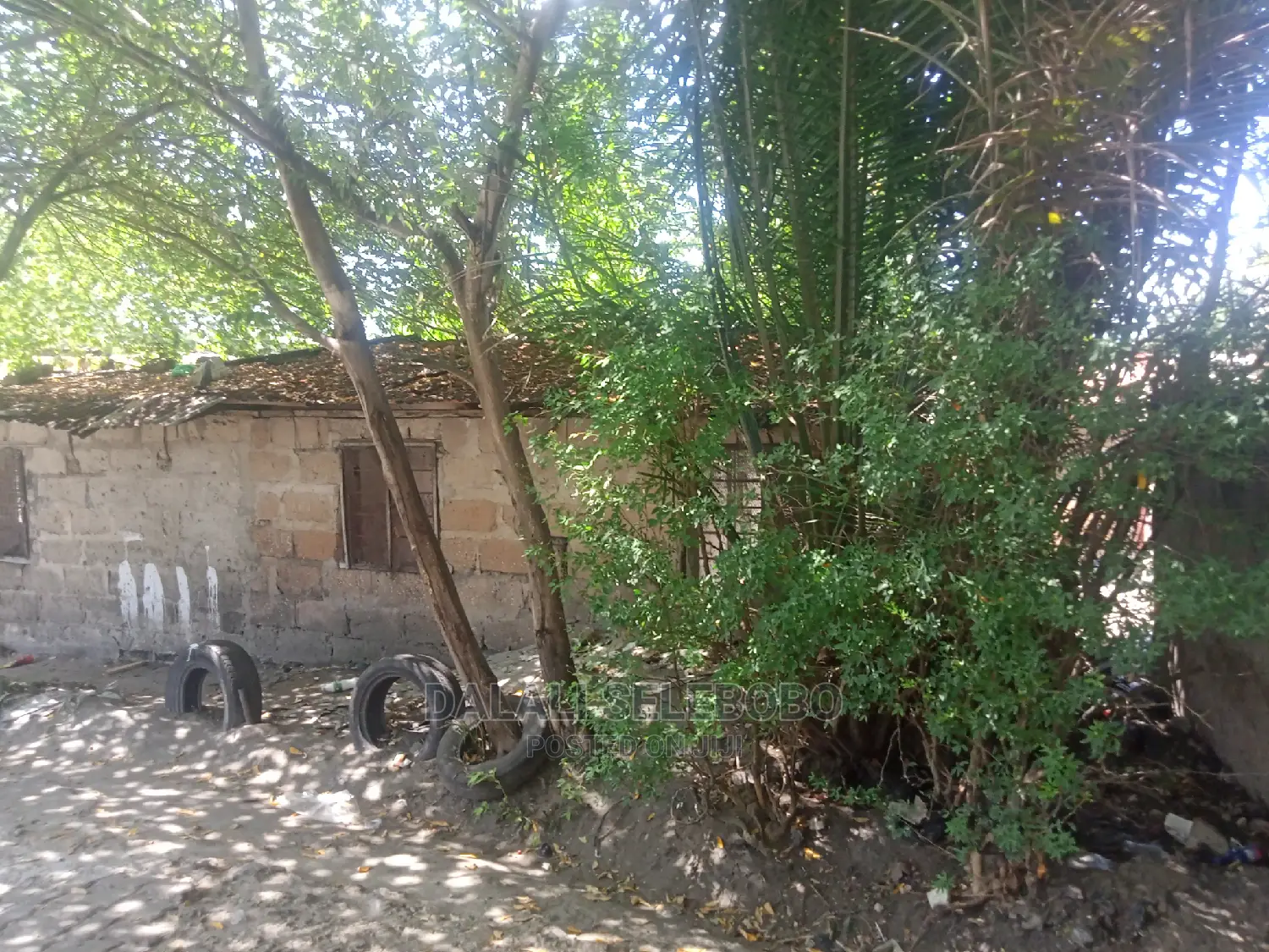 Survey Milioni 70