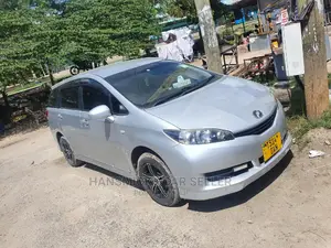 Toyota Wish 2009 Silver