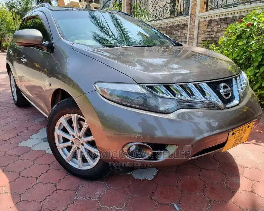 Nissan Murano 2009 Gold