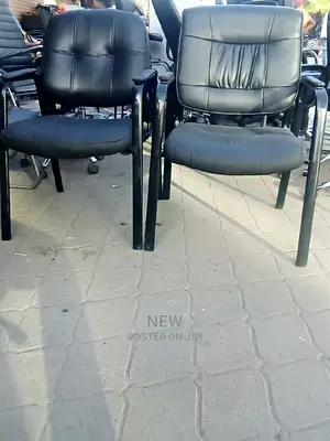 Low Back Visitors