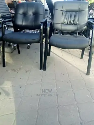 Low Back Visitors