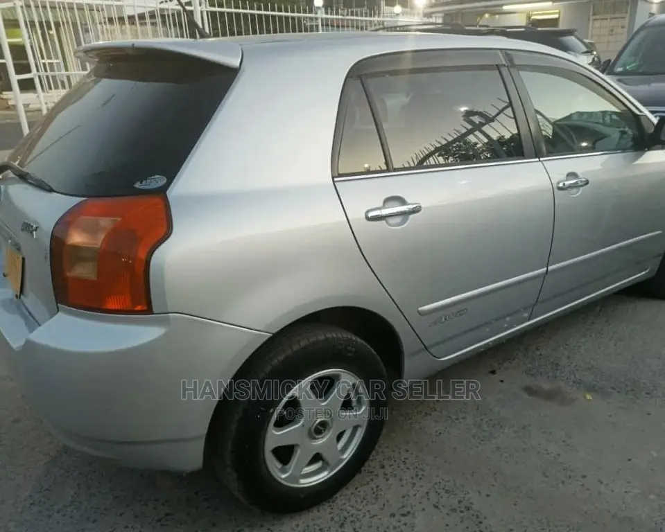 Toyota Allex 2001 Silver