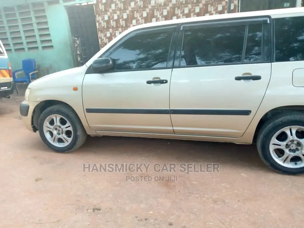 Toyota Probox 2009 Beige