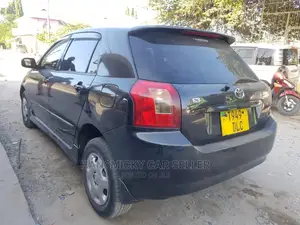 Toyota Allex 2003 Black