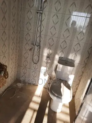 1bdrm Apartment in Kigamboni Dongoni for rent