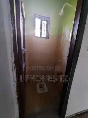 2bdrm Apartment in Kigamboni Darajani for rent