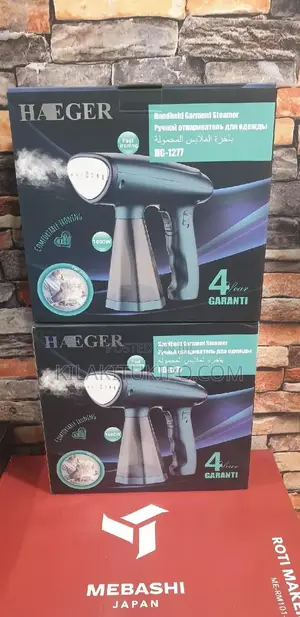 Handheld Germent Steamer