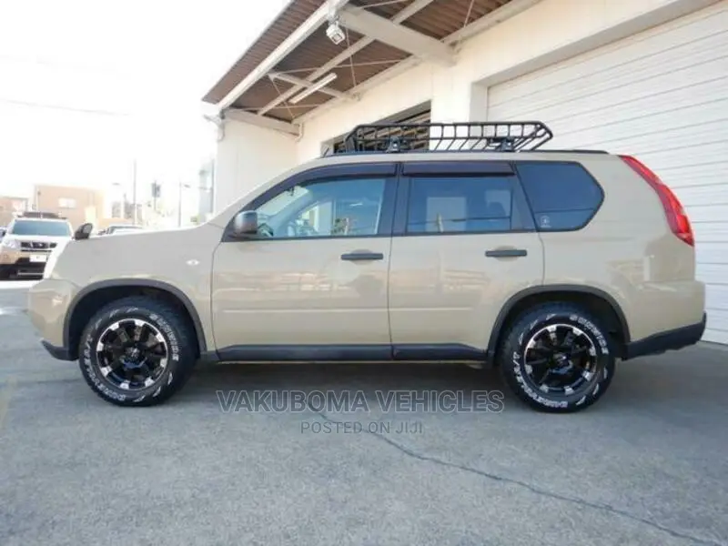 Nissan X-Trail 2008 Brown