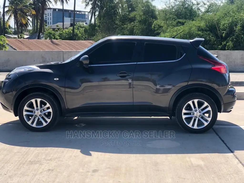 Nissan Juke 2010 Black