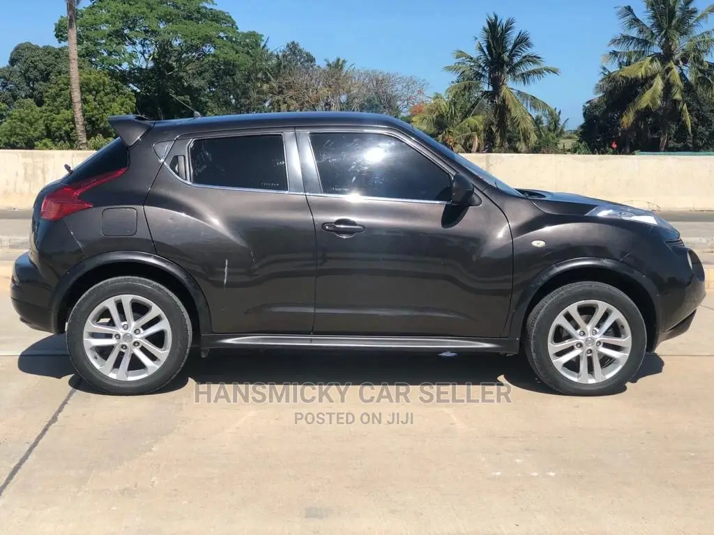 Nissan Juke 2010 Black