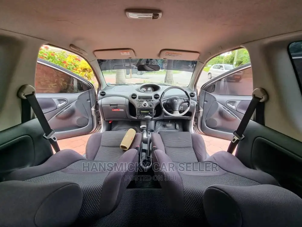 Toyota Vitz 2002 Gray