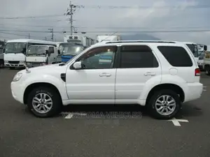 Ford Escape 2011 White