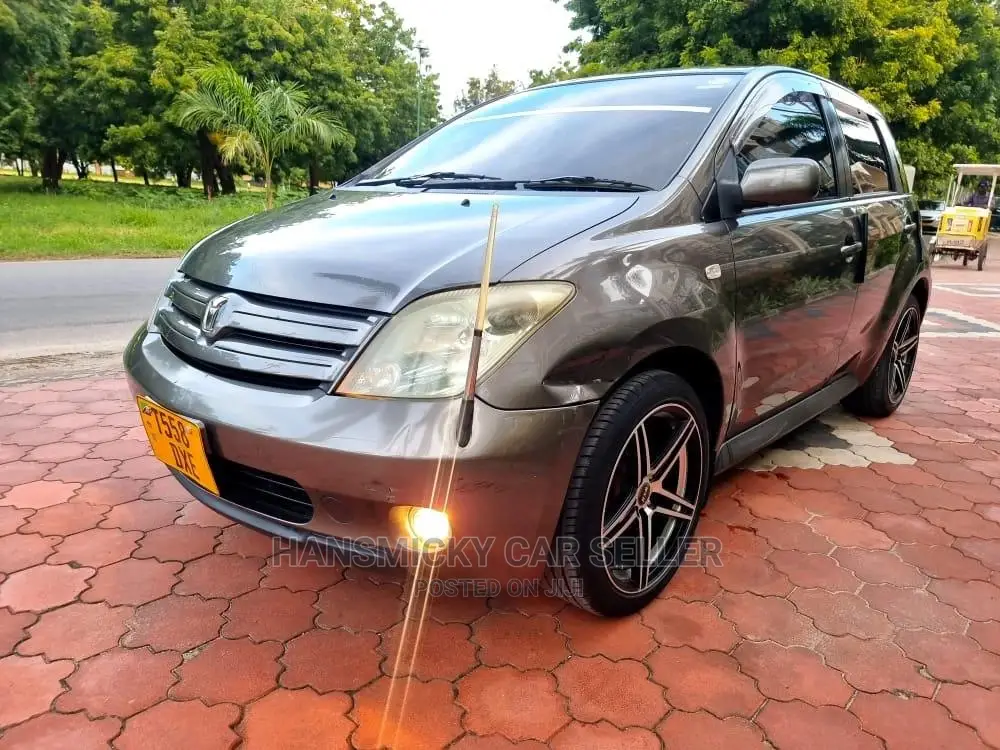 Toyota IST 2005 Gray