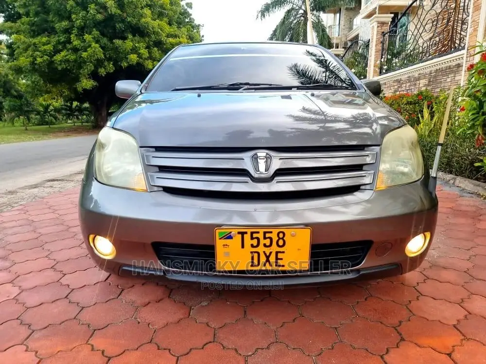 Toyota IST 2005 Gray