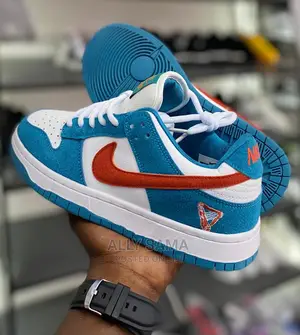 Boys Nike SB