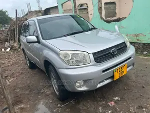 Toyota RAV4 2005 Silver