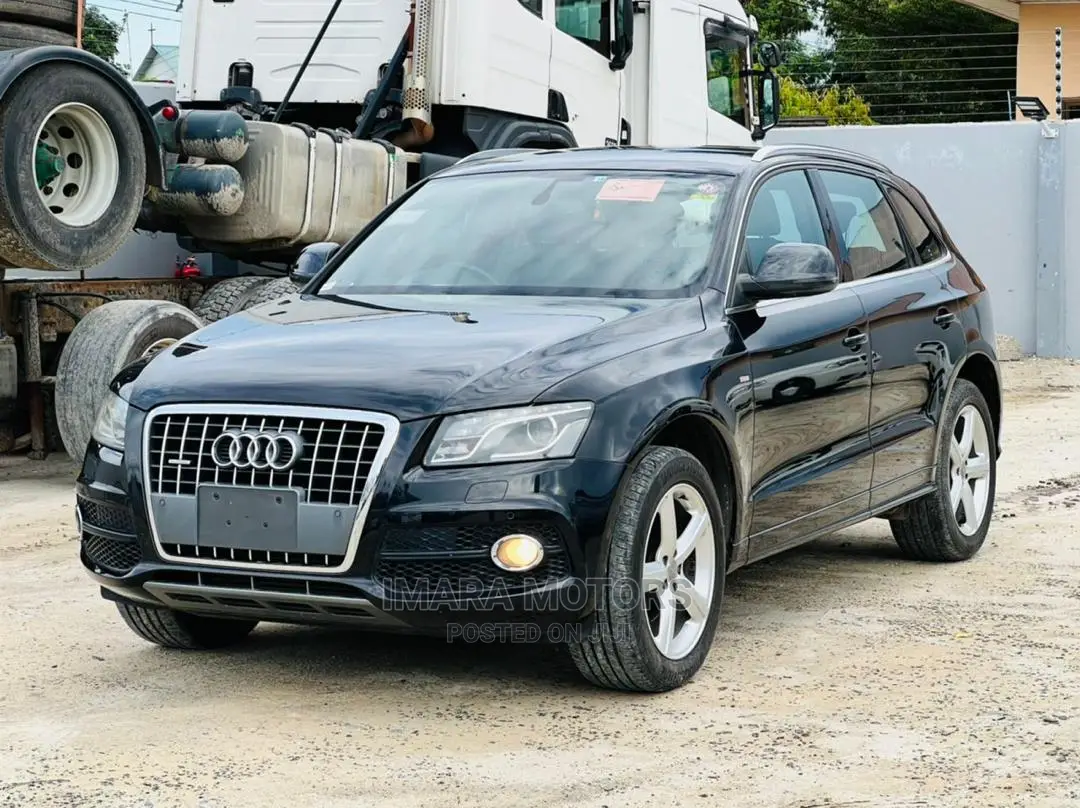 Audi Q5 2010