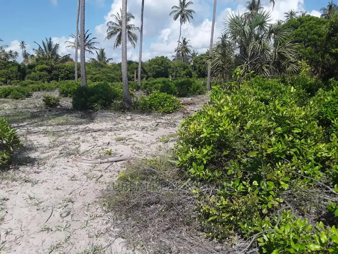 Beach Plot for Sale Pangani
