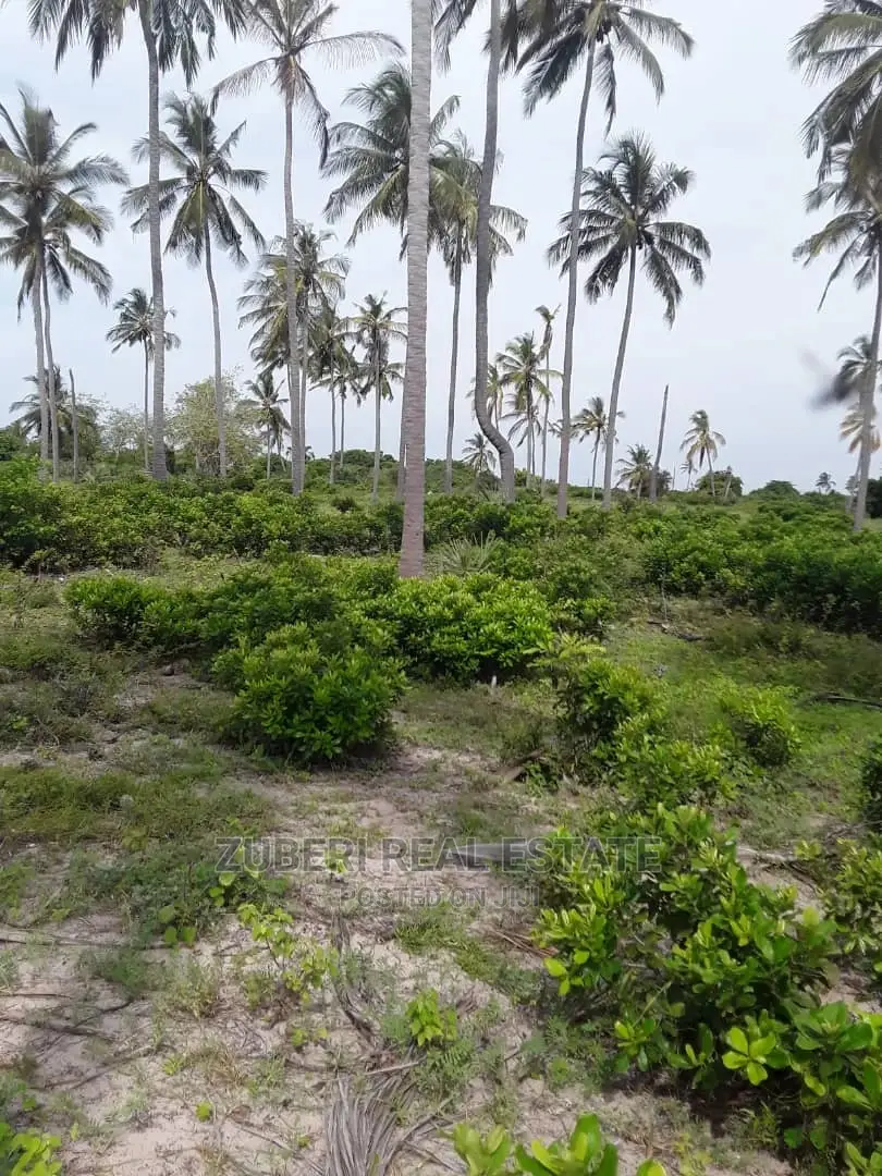 Beach Plot for Sale Pangani