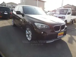 BMW X1 2011 Brown