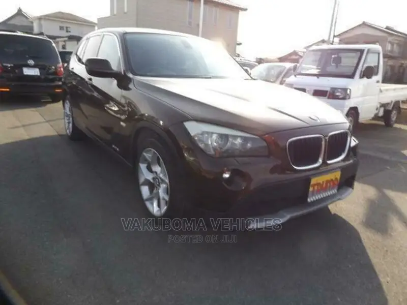 BMW X1 2011 Brown