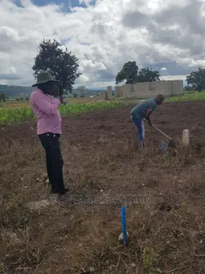 Viwanja Kikatiti, Maji Ya Chai Na Maroroni