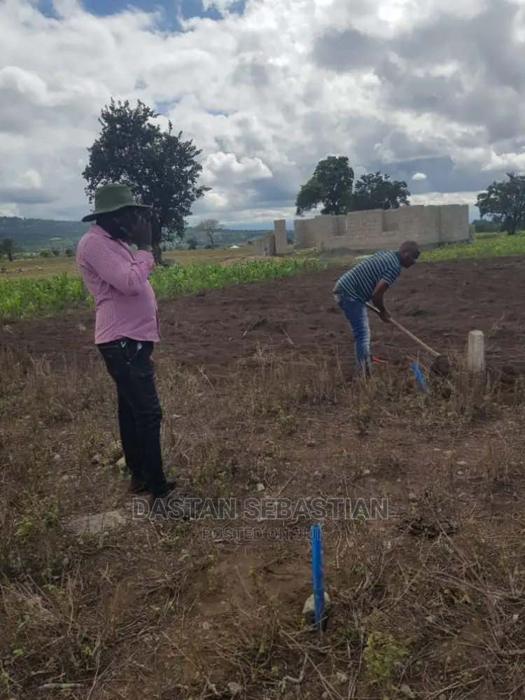 Viwanja Kikatiti, Maji Ya Chai Na Maroroni