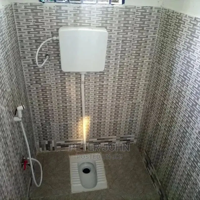 2bdrm Apartment in Mikocheni for rent