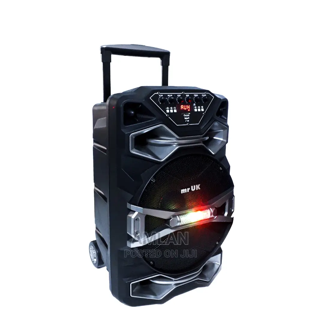 Mr UK Chargeable Speaker