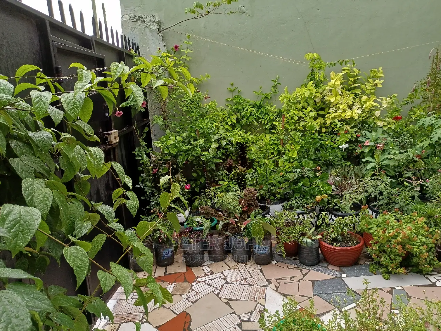 1bdrm Apartment in Kijitonyama for Rent