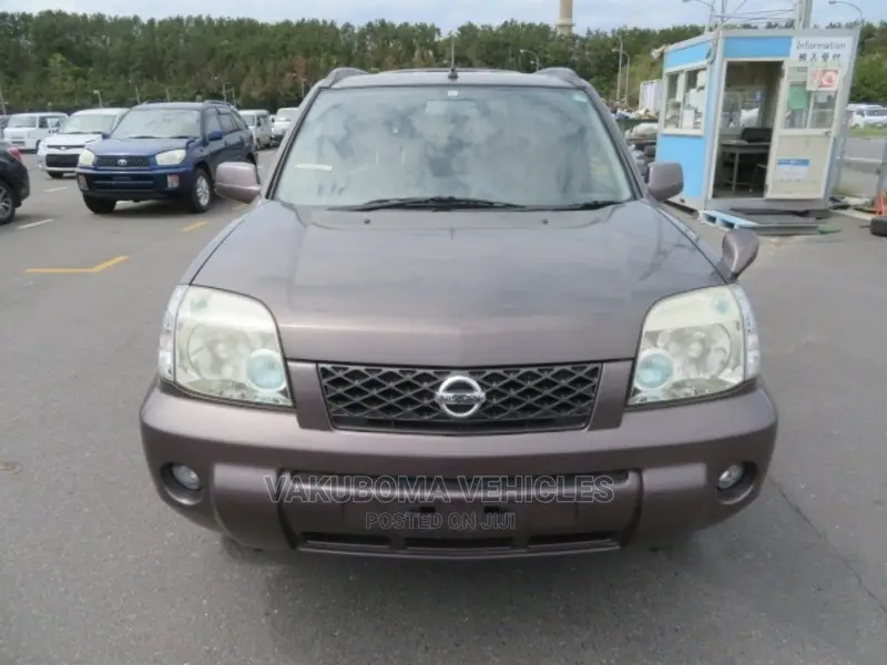 Nissan X-Trail 2007 Brown