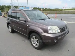 Nissan X-Trail 2007 Brown