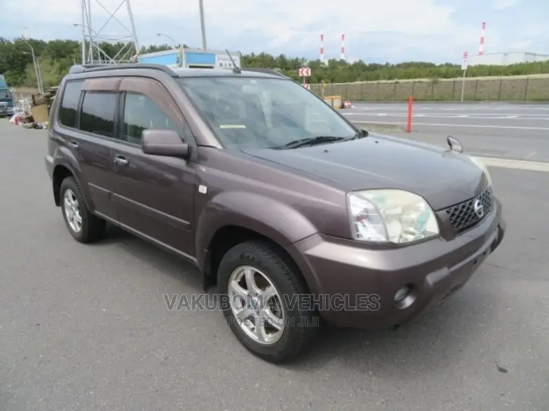 Nissan X-Trail 2007 Brown