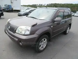 Nissan X-Trail 2007 Brown