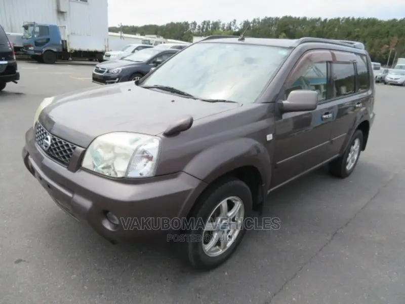 Nissan X-Trail 2007 Brown