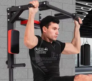 Wall Pull Up and Dip Station.