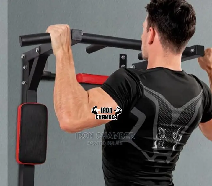 Wall Pull Up and Dip Station.