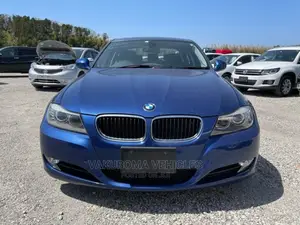 BMW 320i 2011 Blue