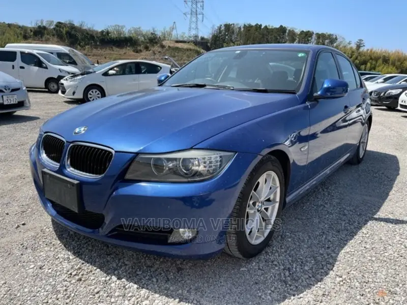 BMW 320i 2011 Blue