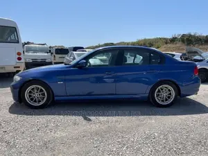 BMW 320i 2011 Blue