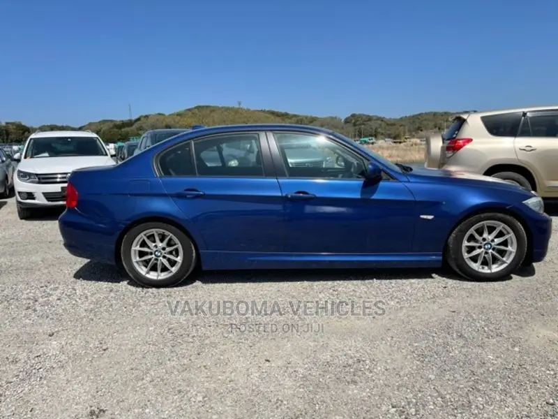 BMW 320i 2011 Blue