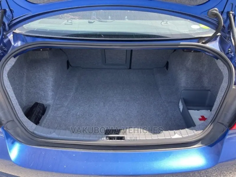 BMW 320i 2011 Blue