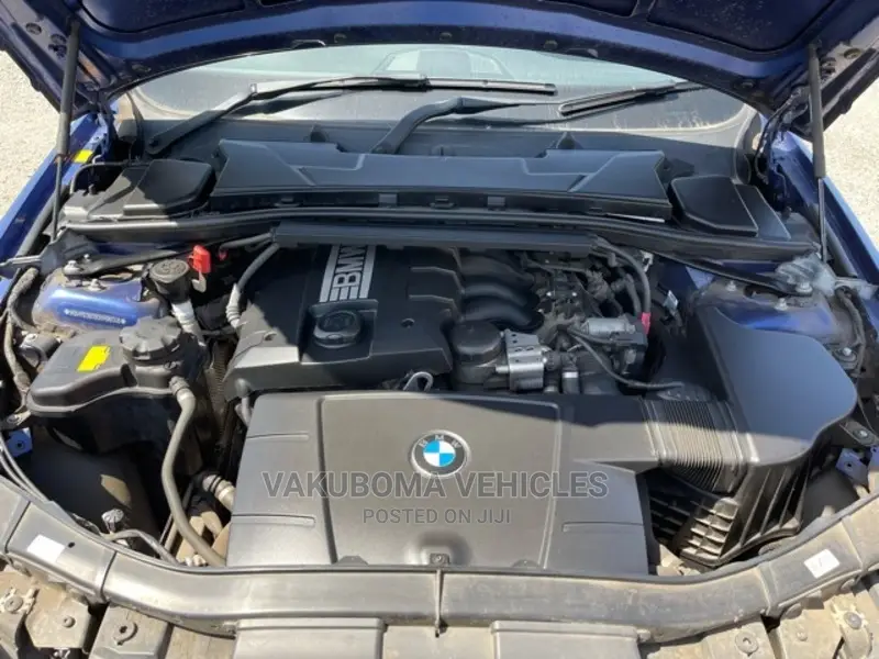 BMW 320i 2011 Blue