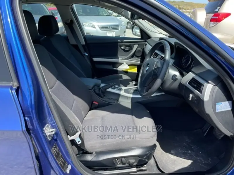 BMW 320i 2011 Blue