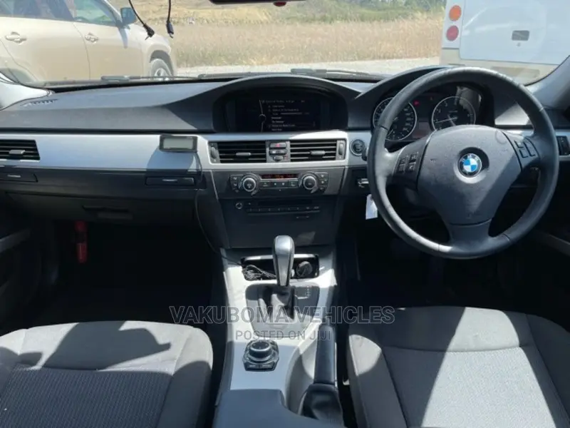 BMW 320i 2011 Blue